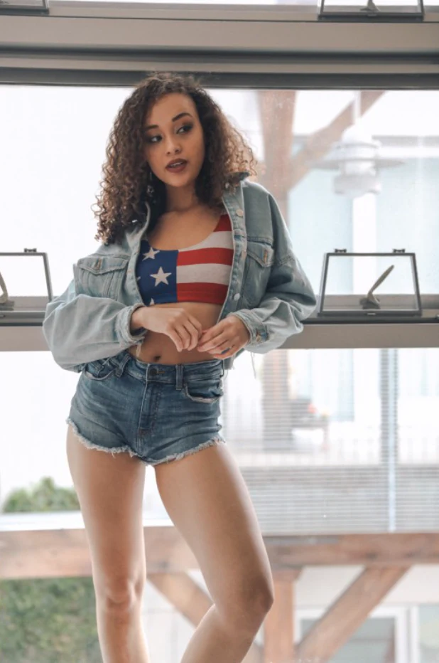 American Flag - Image 4